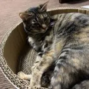みいこ❤️の画像