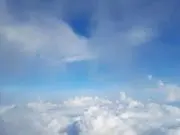 aoihashigoの画像