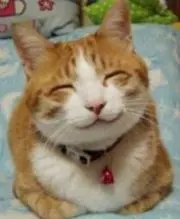 ゆいまーる