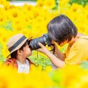 結びCameraの画像