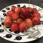 ゆきじろーの画像