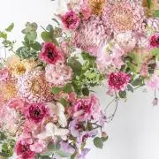 mahanaの画像