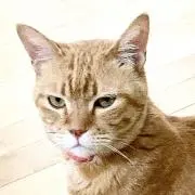 文化堂の画像