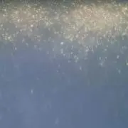 summerプロフ必読の画像