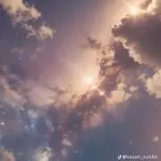 めんめんの画像