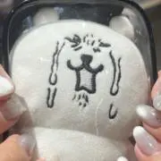 のし