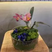 にこ