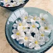 poko5050の画像