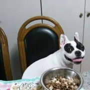 みかんちゃんママ