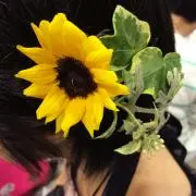 ✯ ライジャニ✯即購入OK！の画像