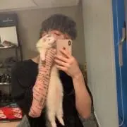 こうだいの画像