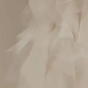 Rの画像