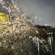 えむ✿即買い、まとめ買いOKの画像