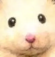みつほしの画像