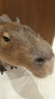 うーいち