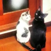 saymar!!プロフ読んでください！！