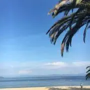 mayuの画像