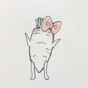 ソックスの画像