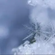 レイカの画像