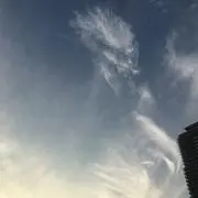 RENAの画像