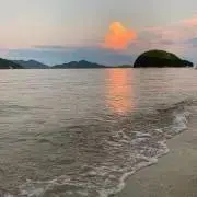 はな