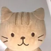 チャチャ丸の画像