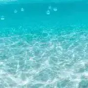 Musashiの画像