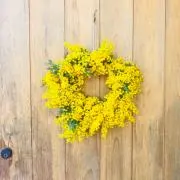 Hanakoの画像