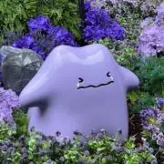 りぃの画像