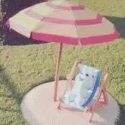こまの画像
