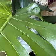 海の画像
