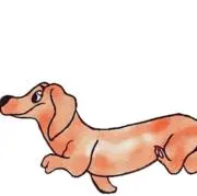 犬くん@お値下げ交渉大歓迎！！