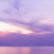 ハヌル　次回発送6/29の画像