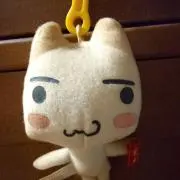 ちぇんの画像