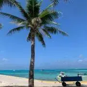 suntan625の画像