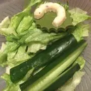 ムーン