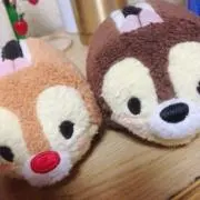 わた