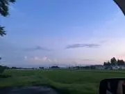 むぎの画像