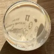 ごはんつぶの画像