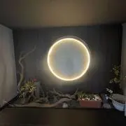 ムーンの画像