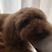 tako♫の画像