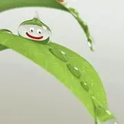 わたそー
