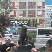 よっしーの画像