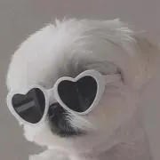 ꧁༺༒༻꧂の画像