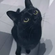 メイニャ