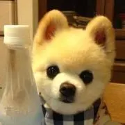 けいすけの画像