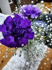 うーくー♡24時間以内発送☆の画像