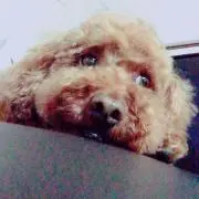 あすとの画像