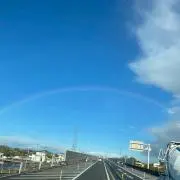 つるみの画像