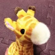 おちびのるーの画像